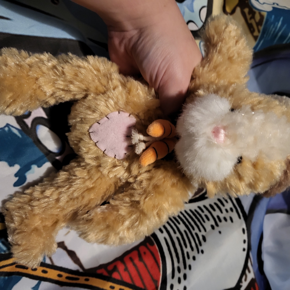 Adorable Tan Plush Bunny Rabbit Ganz Toy With Carrots